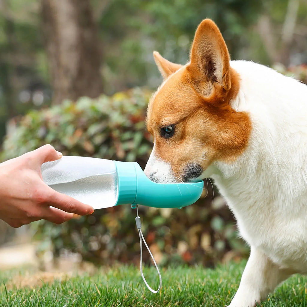 300ml/500ml portable pet water bottle suitable for small and medium-sized dogs and cats outdoor travel dog portable drinking cup